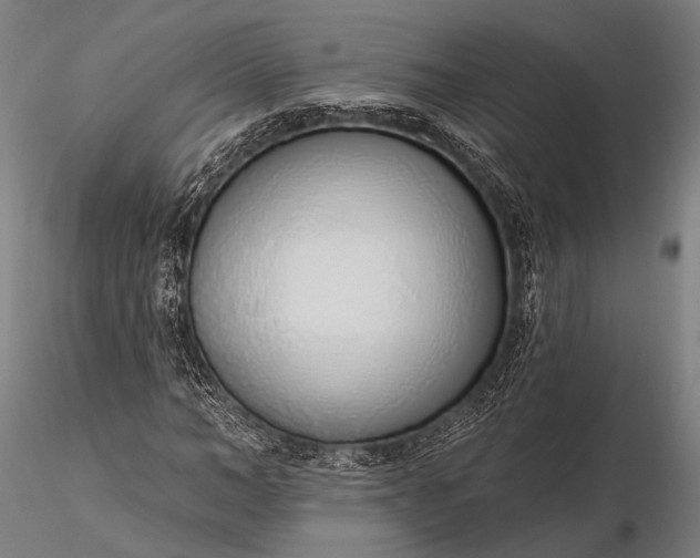 X0000116110966200912071319