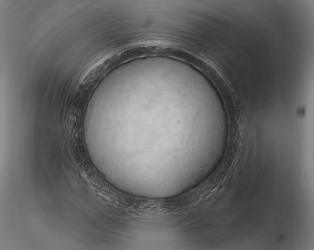 X0000116110967200912071319