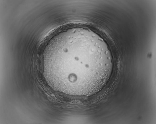 X0000116110968200912071319