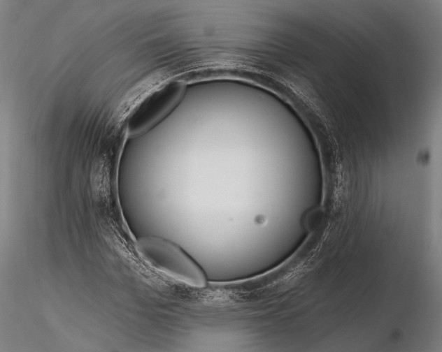 X0000116110969200912071319