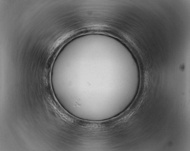 X0000116110970200912071319