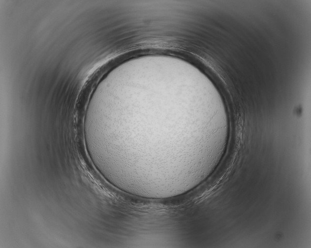 X0000116110971200912071319