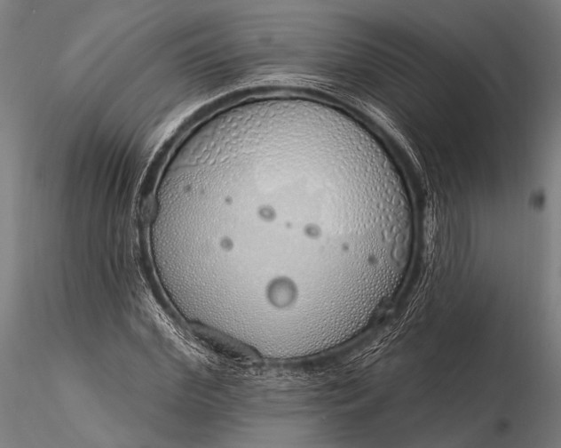 X0000116110972200912071319