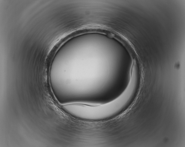 X0000116110973200912071319