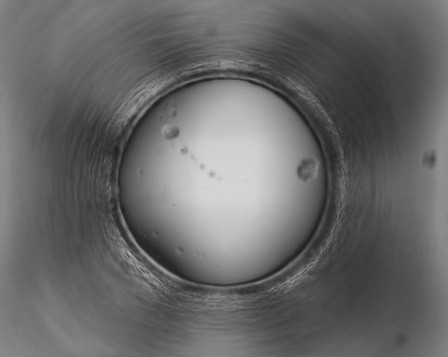 X0000116110977200912071319