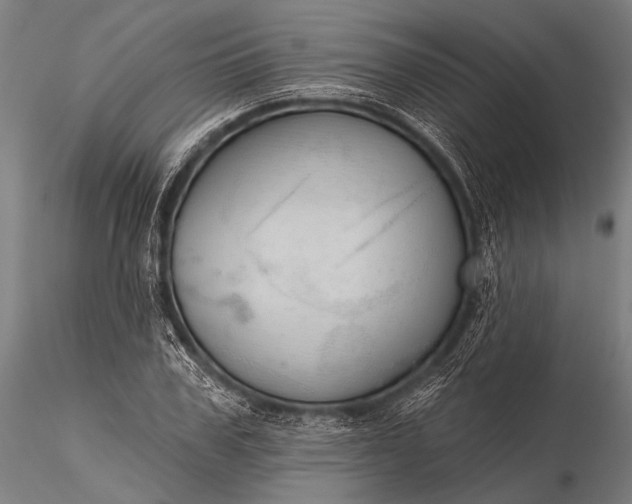 X0000116110979200912071319