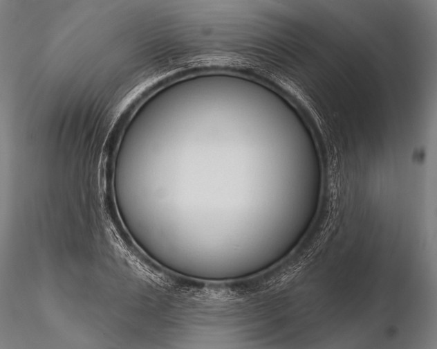 X0000116110983200912071319