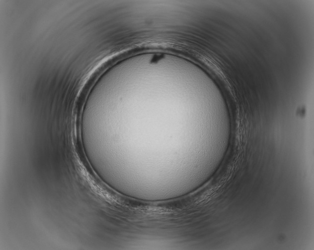 X0000116110984200912071319