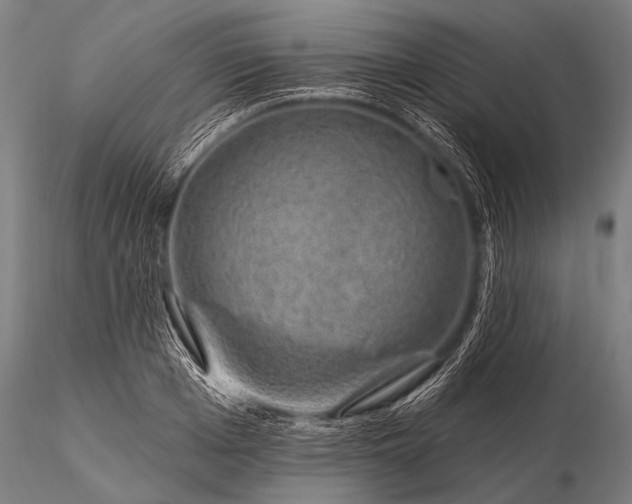 X0000116110985200912071319