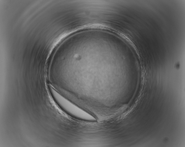 X0000116110989200912071318