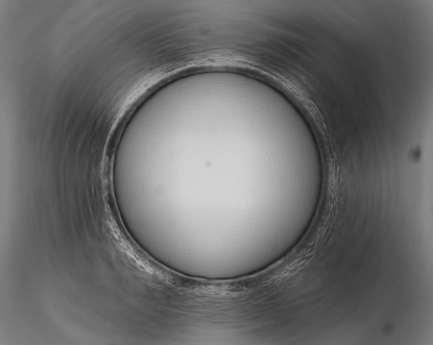 X0000116110990200912071318