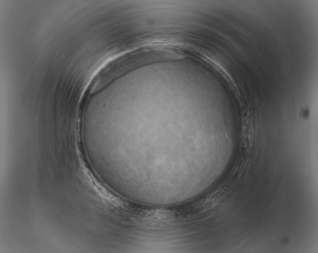 X0000116110992200912071318