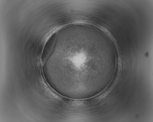 X0000116110993200912071318