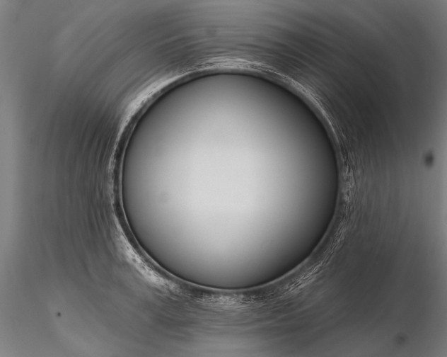 X0000116110995200912071318