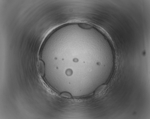 X0000116110996200912071318