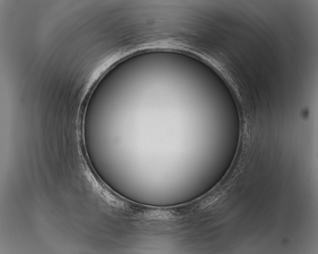 X0000116110998200912071318