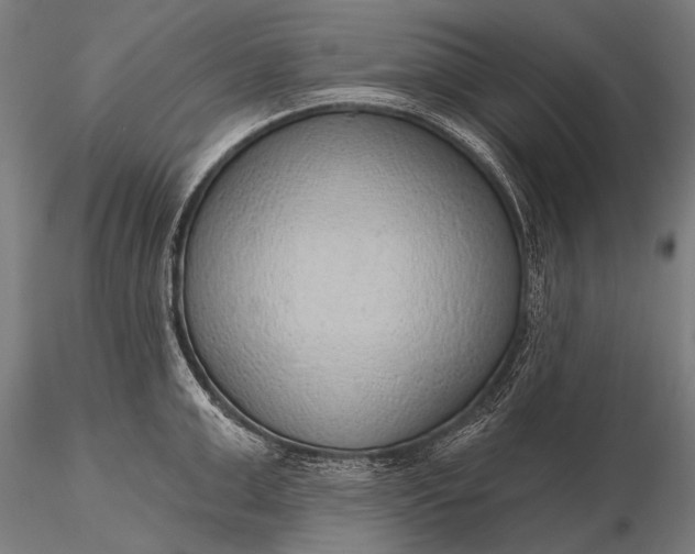 X0000116110999200912071318