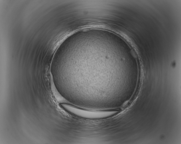 X0000116111001200912071318