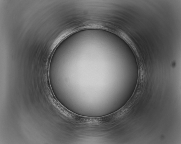 X0000116111002200912071318