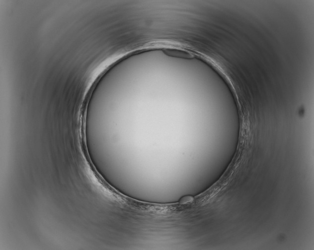 X0000116111003200912071318