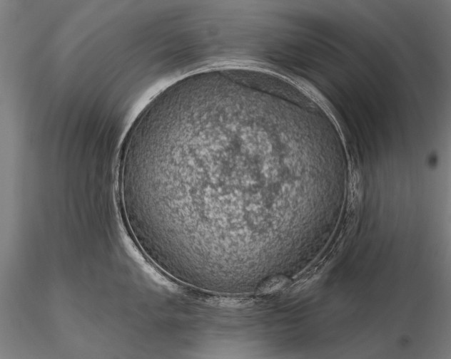 X0000116111005200912071318