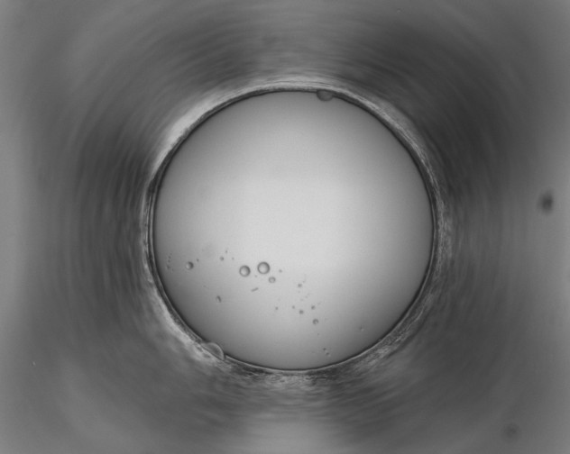 X0000116111006200912071318