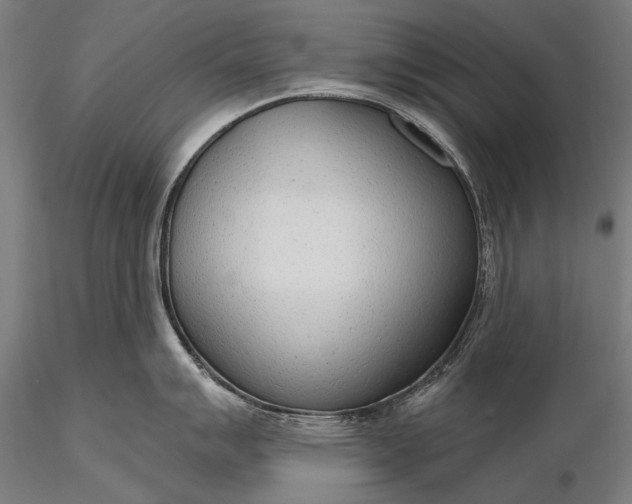 X0000116111007200912071318