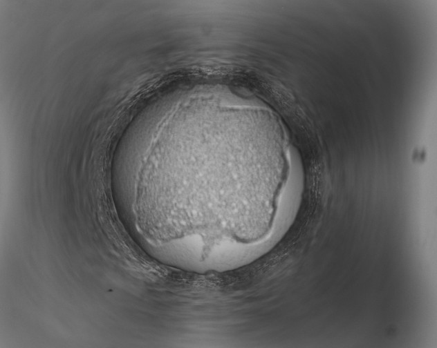 X0000116111009200912071317