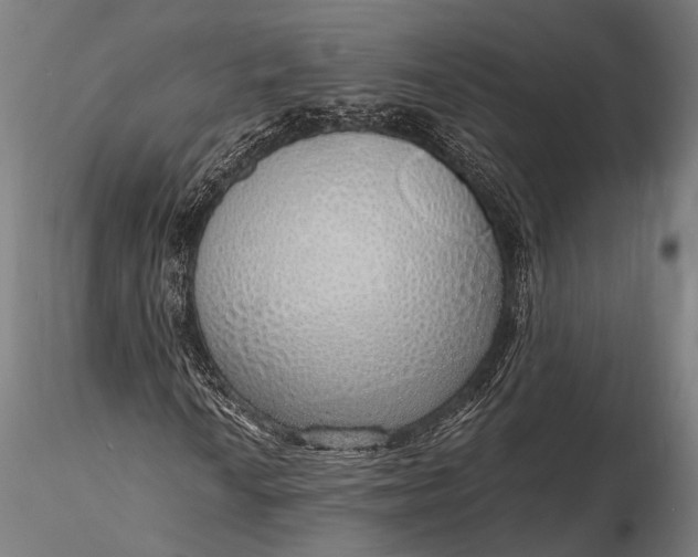 X0000116111010200912071317