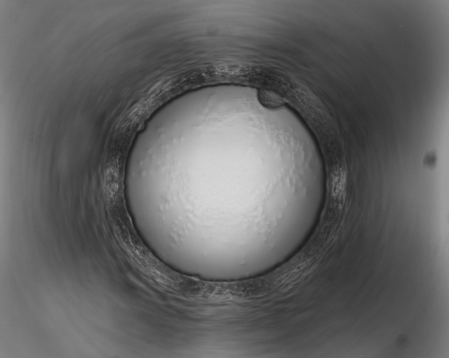 X0000116111011200912071317