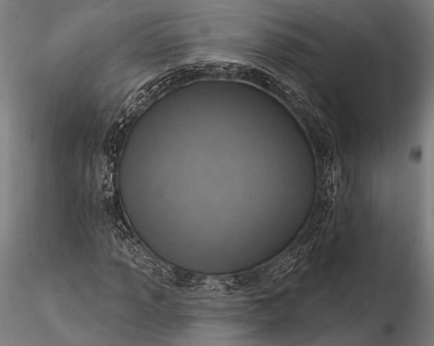 X0000116111013200912071317