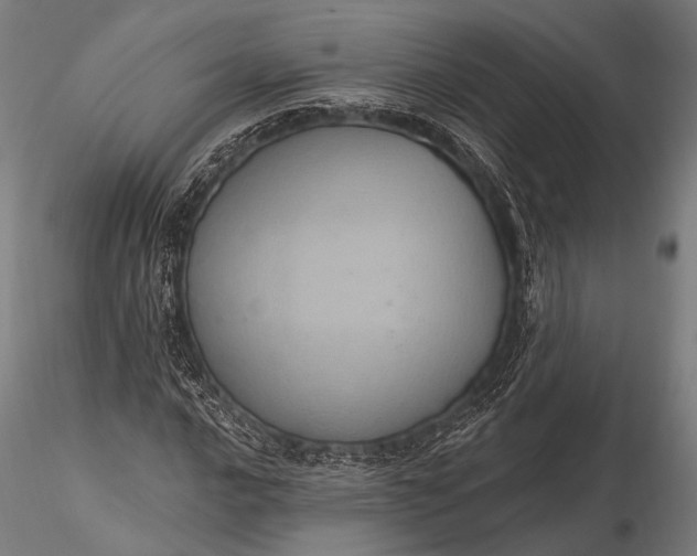 X0000116111016200912071317