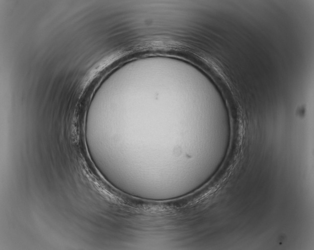 X0000116111018200912071317