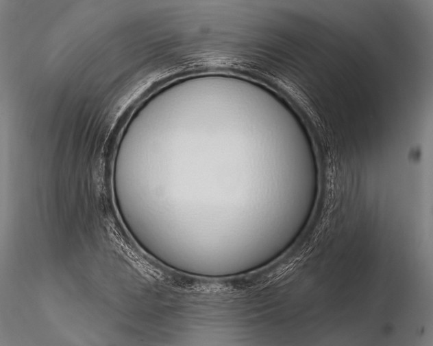 X0000116111023200912071318