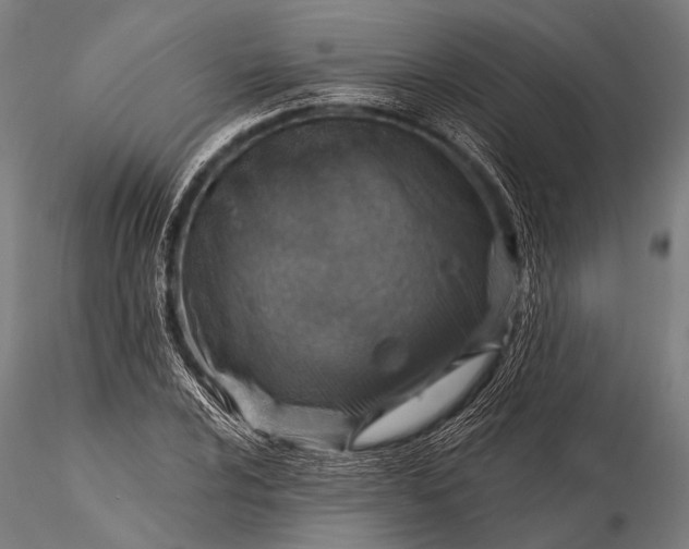 X0000116111024200912071318