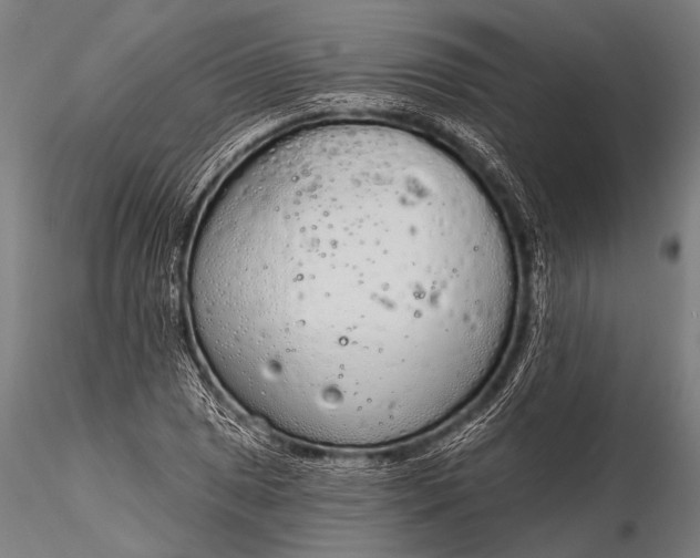 X0000116111025200912071318