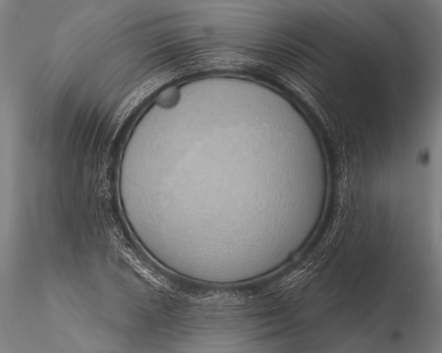 X0000116111026200912071318