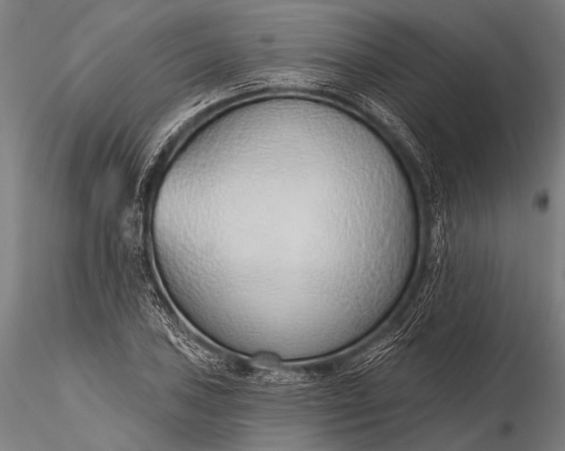 X0000116111027200912071318