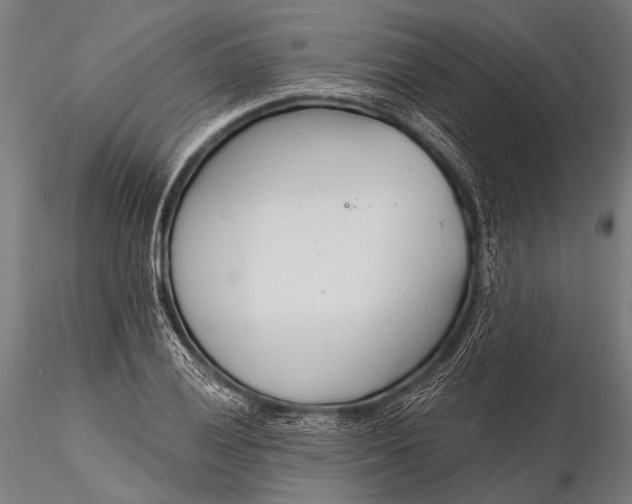 X0000116111028200912071318