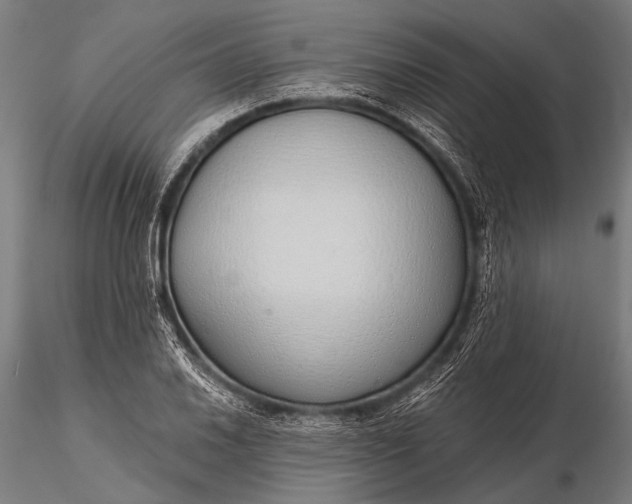 X0000116111030200912071318