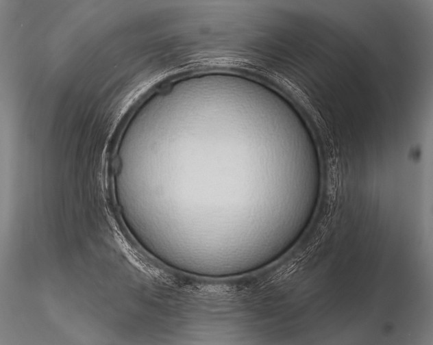 X0000116111031200912071318