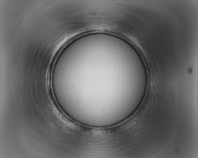 X0000116111032200912071318