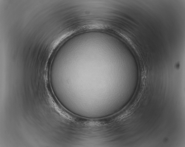 X0000116111034200912071318