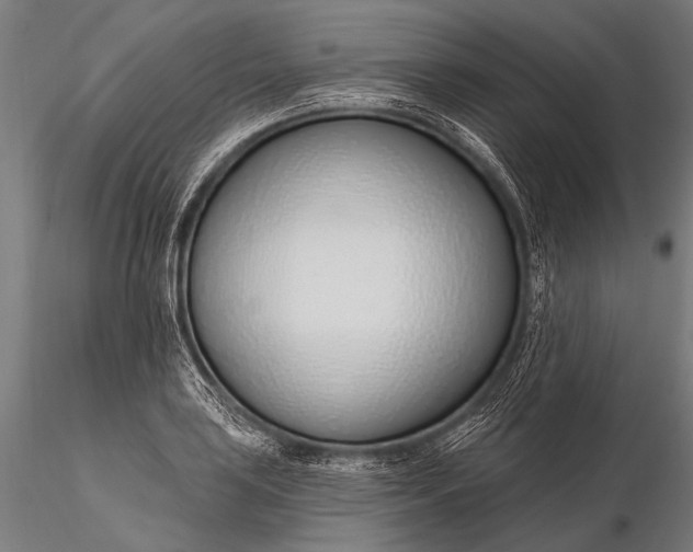 X0000116111035200912071318