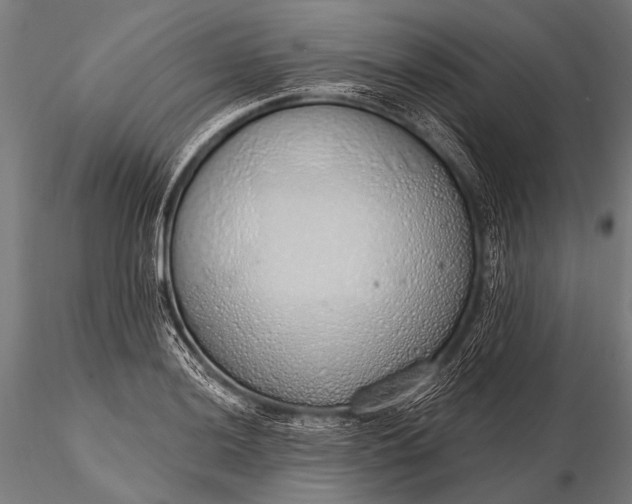 X0000116111036200912071318