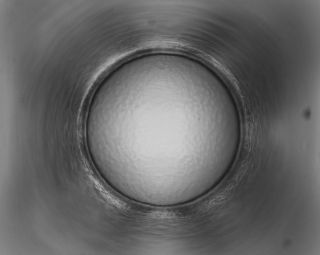 X0000116111037200912071318