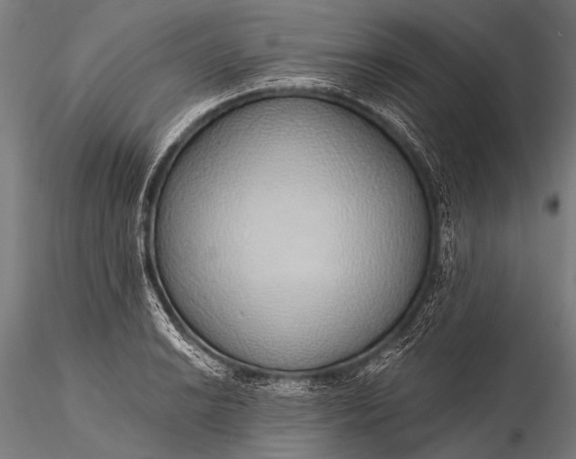 X0000116111038200912071318