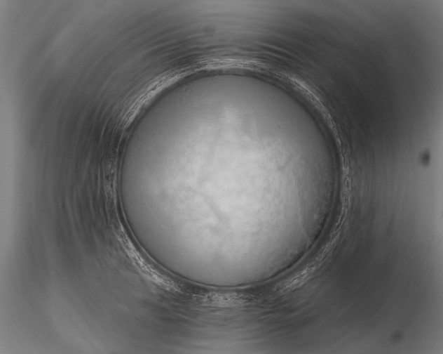 X0000116111041200912071318