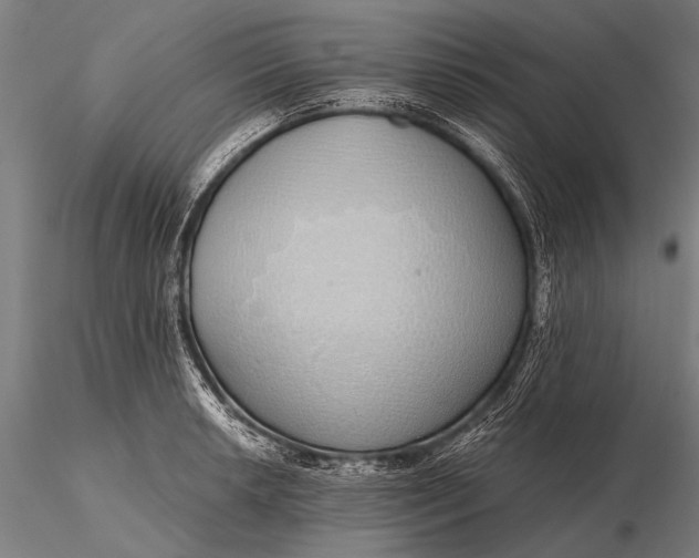 X0000116111042200912071318