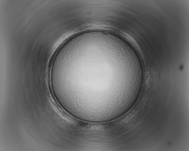 X0000116111043200912071318